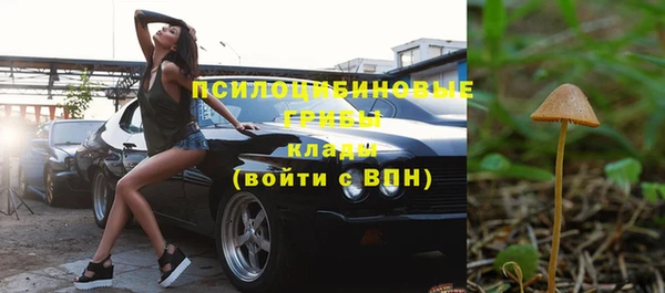 винт Мегион
