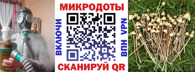 Галлюциногенные грибы мицелий  хочу   кракен маркетплейс  Монино 